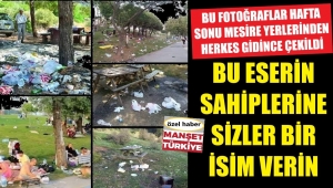 Doğaya bu tahribatı yapanlara ne isim verelim!