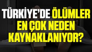 İzmir'de geçen yıl 27 bin 567 kişi öldü