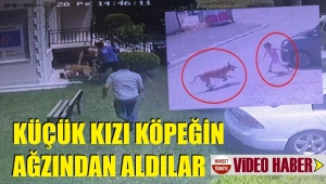 Köpeğin küçük kıza saldırı anı