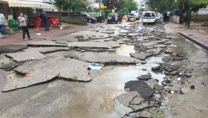 Sel asfaltı, rüzgar ağaçları söktü