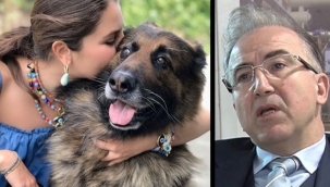 Eşini ısırdı diye Nero'yu vurarak katletti