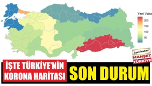 Hangi bölge tehlikeli! Son korona haritası