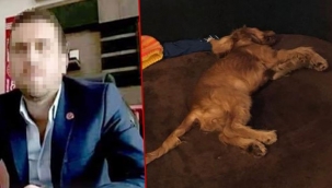 Köpeğe tecavüz ederek öldüren serbest