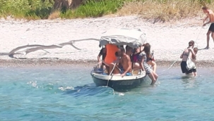 Göz göre göre facia