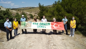 Lionslardan doğaya anlamlı katkı