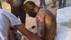Tartıştıkları tinerciyi tiner dökerek yaktılar