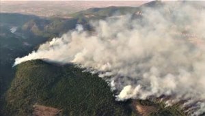 Denizli alev alev