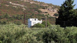 Foça'da kan donduran cinayet!