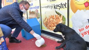 Çiğli Belediyesi veterinerlik hizmetlerinde rekor artış