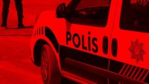 Damat dehşetinin nedeni gelinin düğün isteği(ymiş)!