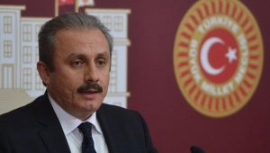 Şentop'tan Anayasa açıklaması