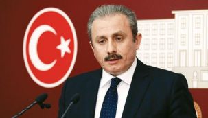 Şentop Anayasa çalışmalarını değerlendirdi