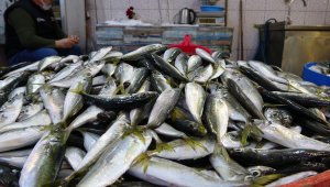 Balık fiyatları ateş pahası