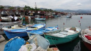 Mezgit, tarihinin en yüksek fiyatını gördü