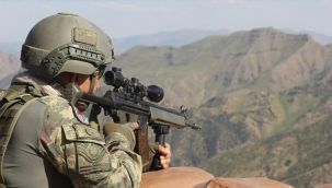 1 milyon lira ödülle aranan PKK'lı terörist öldürüldü