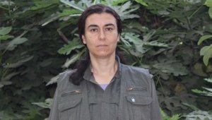 PKK'ya nokta operasyon