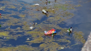 Adana'da, Seyhan Nehri’ndeki kirlilik tepki çekti