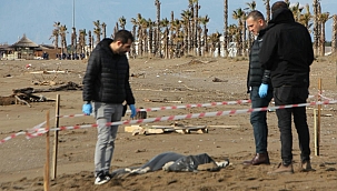 Antalya'dan sonra Muğla'da da sahilde uzuvları kesilmiş ceset bulundu!