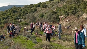 Bornova Belediyesi'nden arıcılara lavanta desteği
