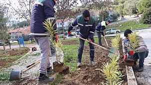 Bornova’da parklara yeni bitkiler dikiliyor