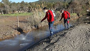 Menderes Belediyesi'nden larva mücadelesi
