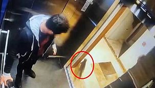 Eros'un katiline 2 yıl 6 ay hapis cezası!