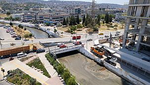 Kokuya karşı mücadelenin etkileri bu yaz görülecek
