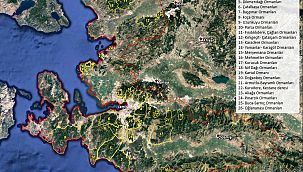 İzmir'de bazı ormanlara giriş yasaklandı!