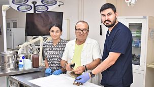 Balçova'da can dostlara örnek hizmet
