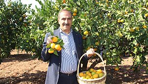Ege Yaş Meyve Sebze İhracatçıları Birliği’nden çifte rekolte