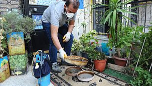 Karşıyaka’da haşereyle kararlı mücadele