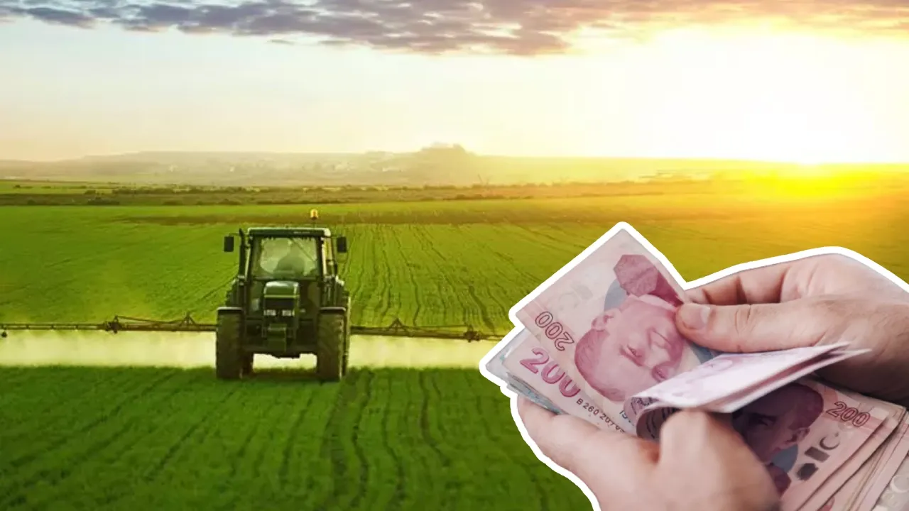 Yeni tarım destekleri Resmi Gazete’de yayımlandı