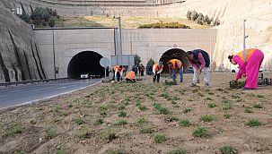 Kuraklığa karşı İzmir’in yeşil örtüsünde dönüşüm 