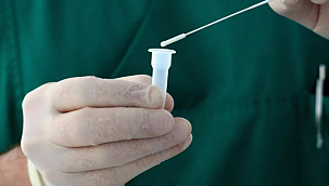 Okullarda Anket Temelli Tarama Programı Gündemde